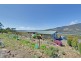 646 Boyer Road, Dromedary TAS 7030
