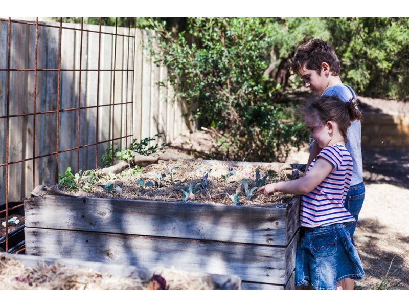 7 Elise Drive, Dodges Ferry TAS 7173