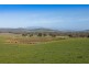 311 Forest Hill Road, Sandford TAS 7020