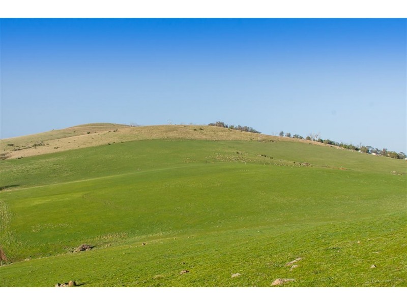 311 Forest Hill Road, Sandford TAS 7020