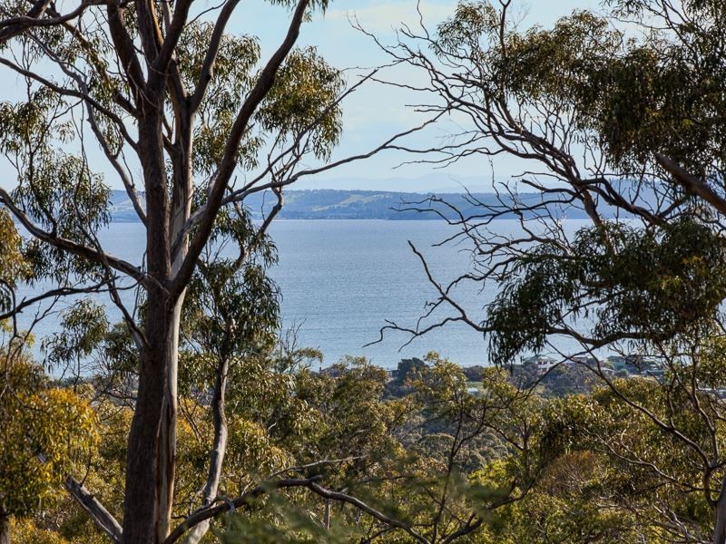 3 Deborah Lane, Dodges Ferry TAS 7173