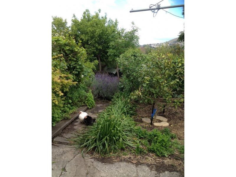 61 Butler Avenue, Moonah TAS 7009