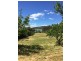 28 Honeywood Drive, Sandford TAS 7020