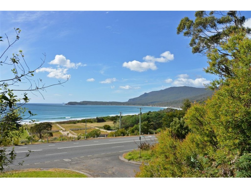 8 Hawks Lane, Eaglehawk Neck TAS 7179