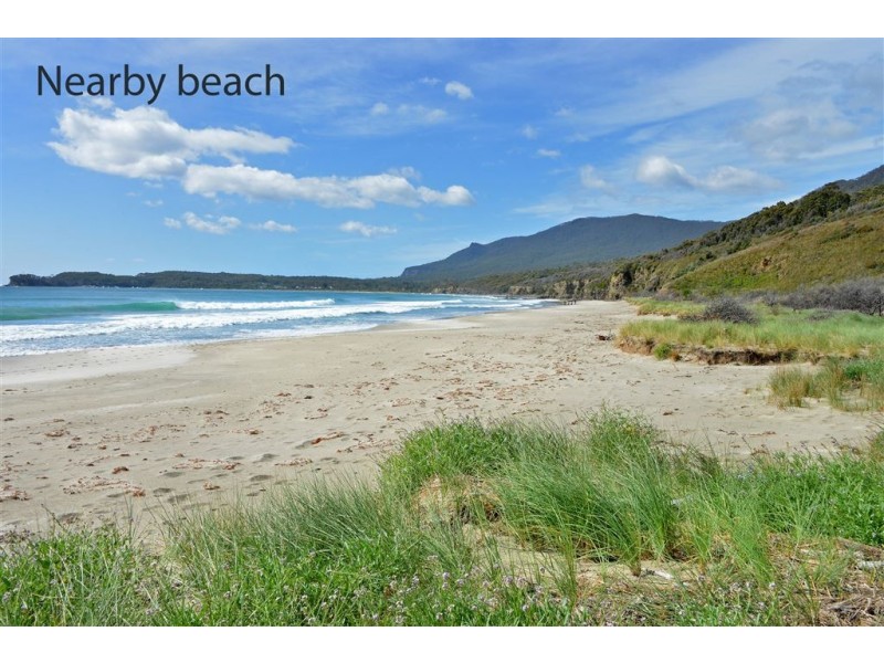 8 Hawks Lane, Eaglehawk Neck TAS 7179