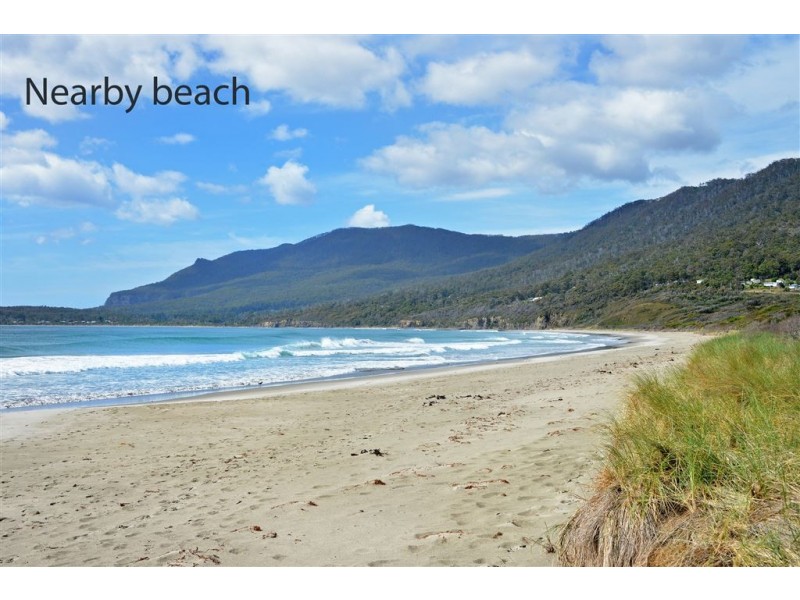 8 Hawks Lane, Eaglehawk Neck TAS 7179