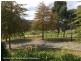 17 Pineview Court, Lysterfield VIC 3156