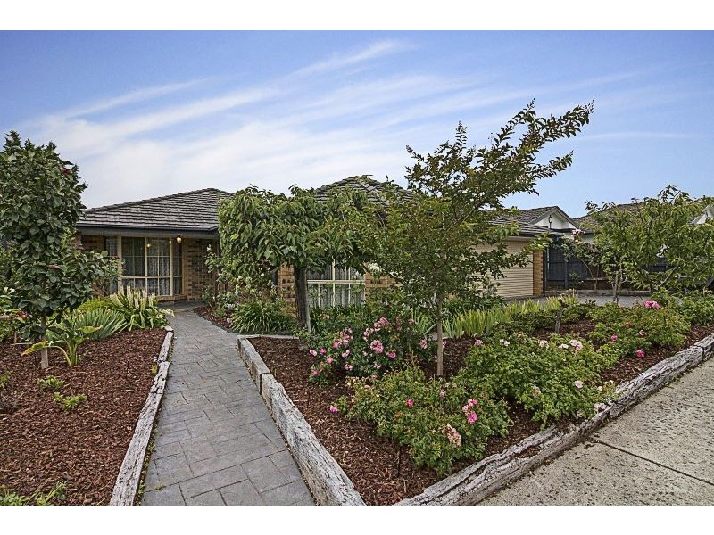 55 Pia Drive, Rowville VIC 3178