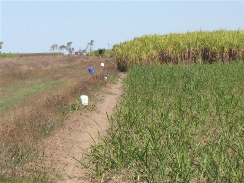 L58 Day Rd, Barratta QLD 4809