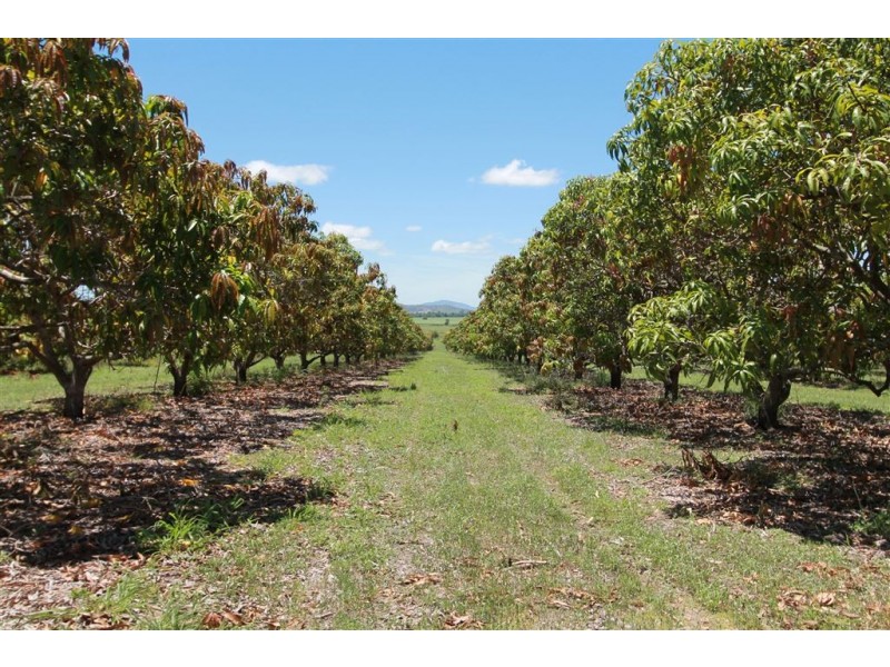 6 Etna Rd, Mount Kelly QLD 4807