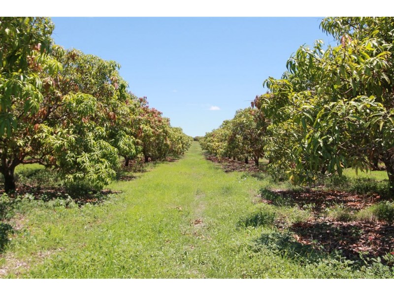 6 Etna Rd, Mount Kelly QLD 4807