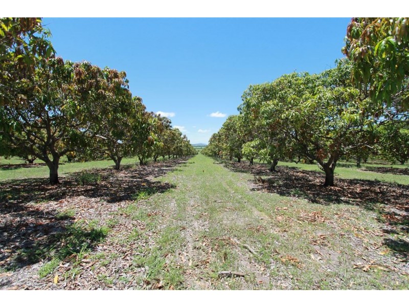 6 Etna Rd, Mount Kelly QLD 4807