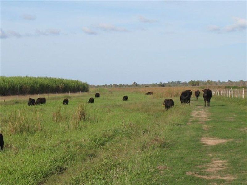 67 Seaforth Rd, Jarvisfield, Ayr QLD 4807