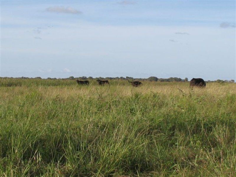 67 Seaforth Rd, Jarvisfield, Ayr QLD 4807