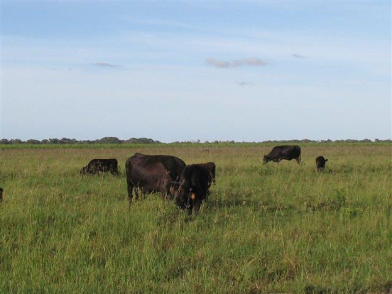 67 Seaforth Rd, Jarvisfield, Ayr QLD 4807