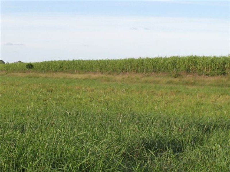 67 Seaforth Rd, Jarvisfield, Ayr QLD 4807