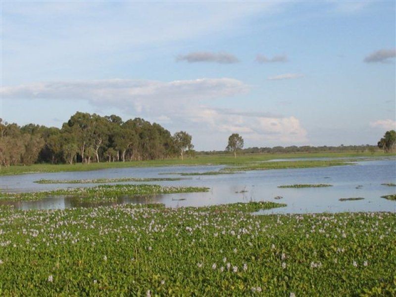 67 Seaforth Rd, Jarvisfield, Ayr QLD 4807