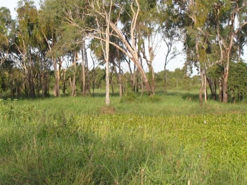 67 Seaforth Rd, Jarvisfield, Ayr QLD 4807