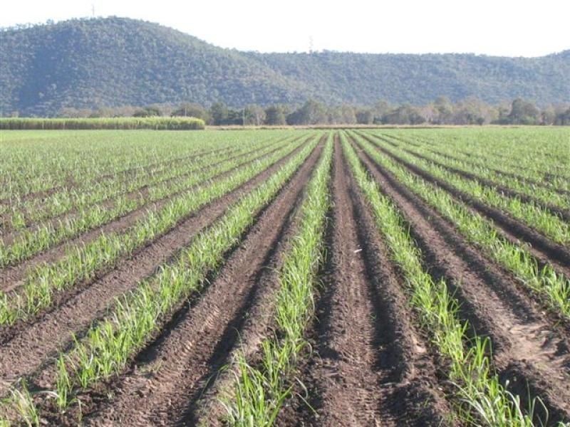 27282 Bruce Highway, Inkerman, Home Hill QLD 4806