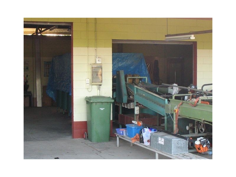 . Drynie Road, Brandon QLD 4808