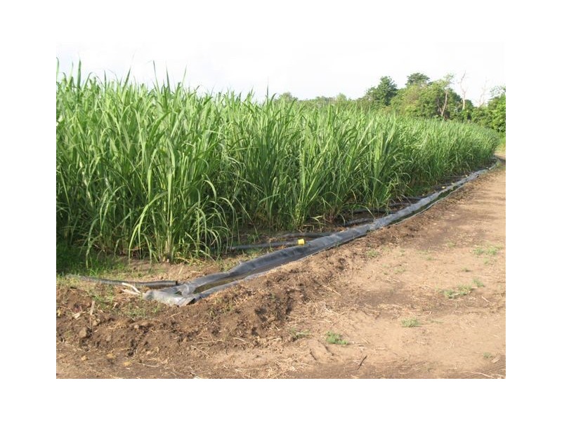 . Haughton, Giru QLD 4809