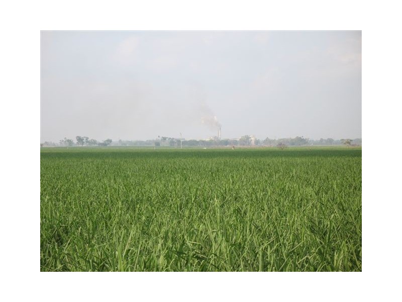 . Haughton, Giru QLD 4809