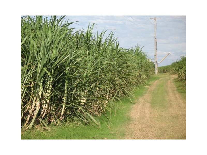 128 Loram Road, Ayr QLD 4807