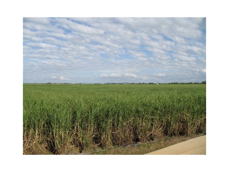 128 Loram Road, Ayr QLD 4807