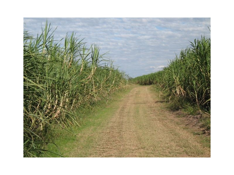 128 Loram Road, Ayr QLD 4807