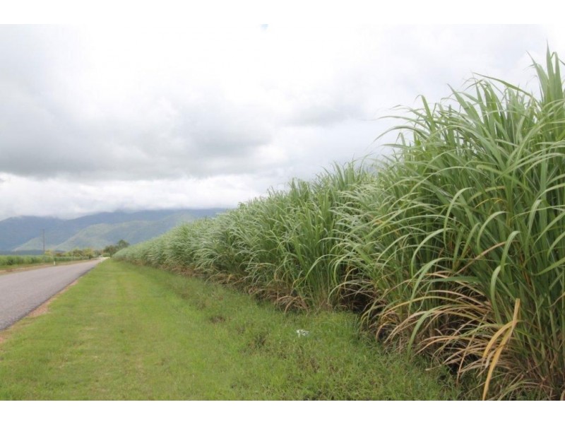 625 Shirbourne Road, Giru QLD 4809