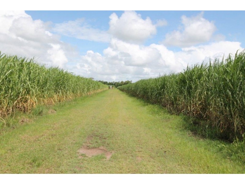 625 Shirbourne Road, Giru QLD 4809