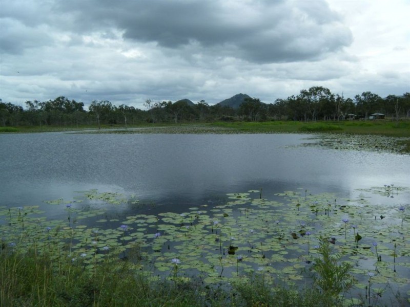 124 Booth Road, Oak Valley QLD 4811