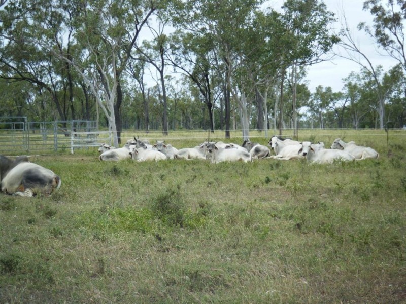 124 Booth Road, Oak Valley QLD 4811