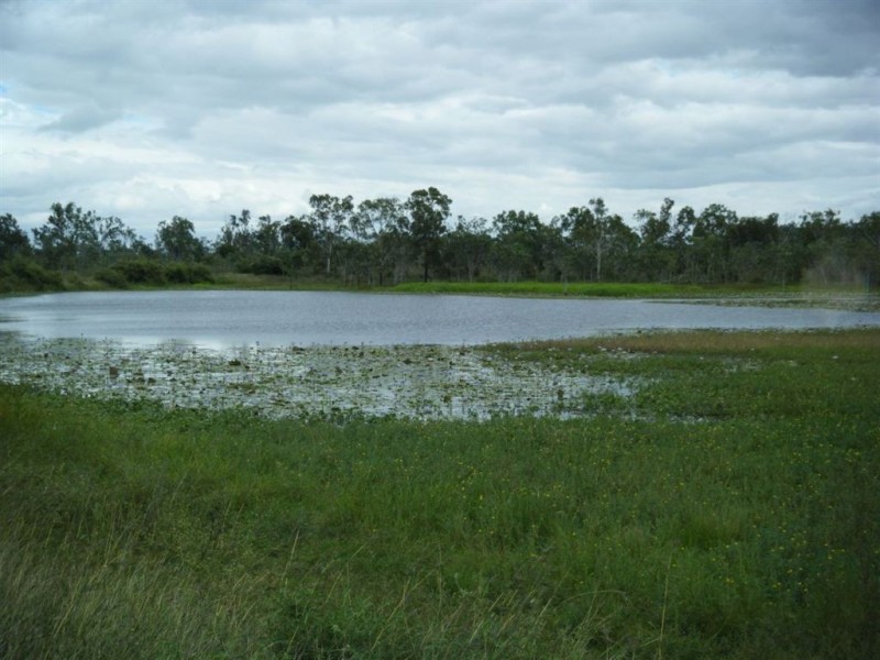 124 Booth Road, Oak Valley QLD 4811