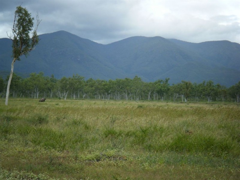 124 Booth Road, Oak Valley QLD 4811