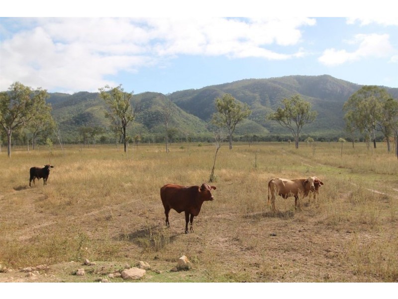 Lot 1 Ryans Road, Calcium, Woodstock QLD 4816