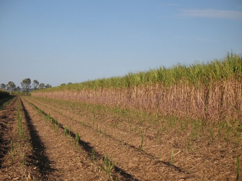 596 Mulgrave Road, Clare, Ayr QLD 4807