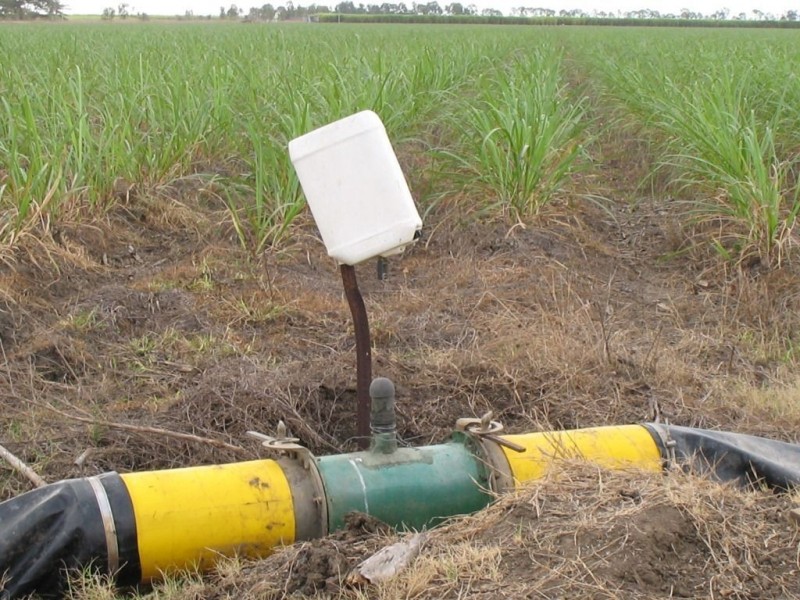 596 Mulgrave Road, Clare, Ayr QLD 4807