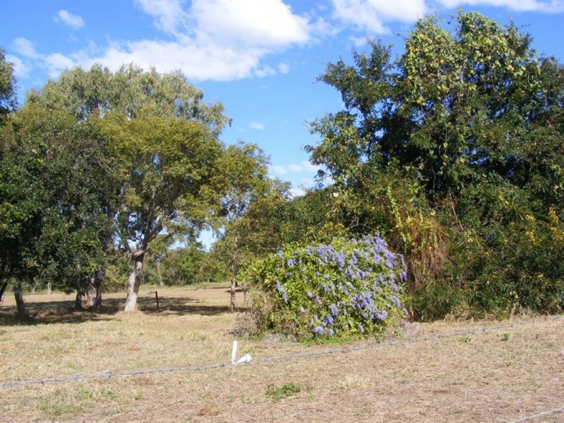 270 Wilson Road, Ayr QLD 4807