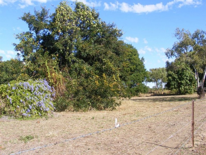 270 Wilson Road, Ayr QLD 4807