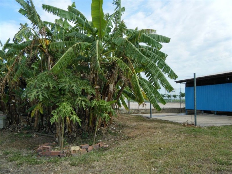 175-177 Drysdale Street, Brandon QLD 4808