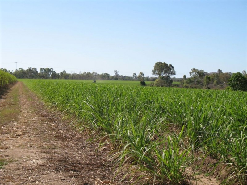 15 Piva Road, Kirknie, Home Hill QLD 4806