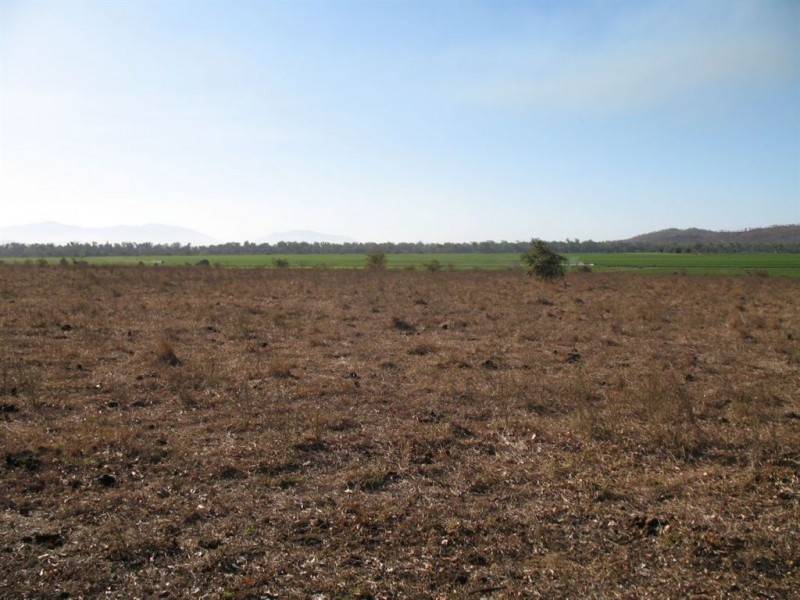 15 Piva Road, Kirknie, Home Hill QLD 4806