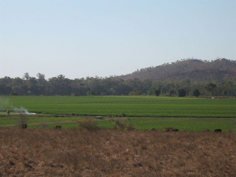 15 Piva Road, Kirknie, Home Hill QLD 4806