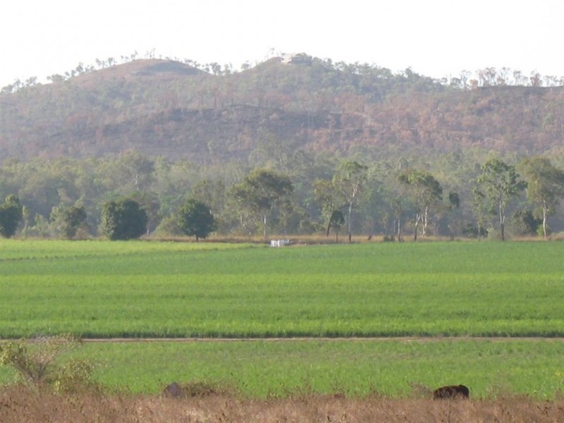 15 Piva Road, Kirknie, Home Hill QLD 4806