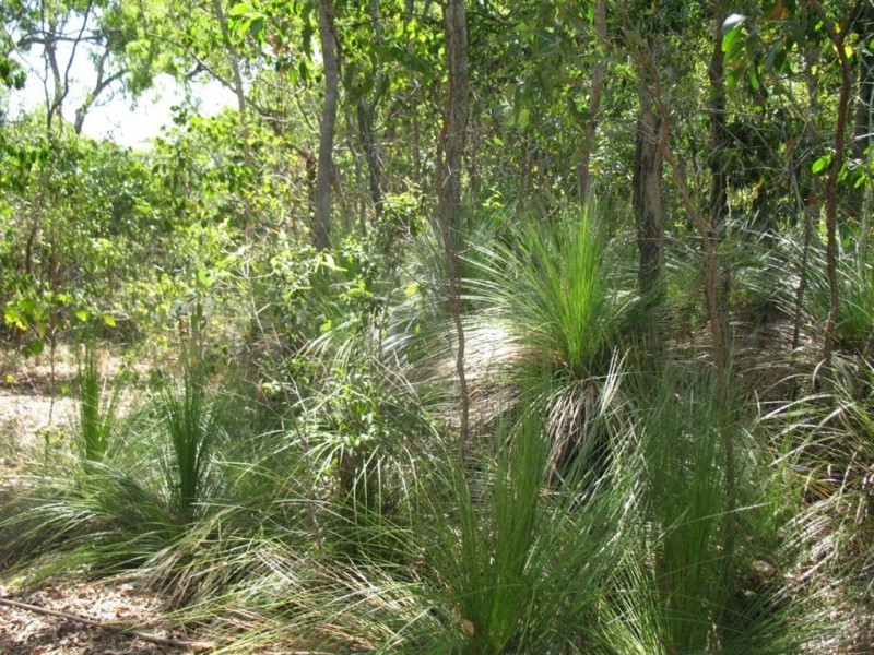 0 Allan Road, Conway Beach QLD 4800