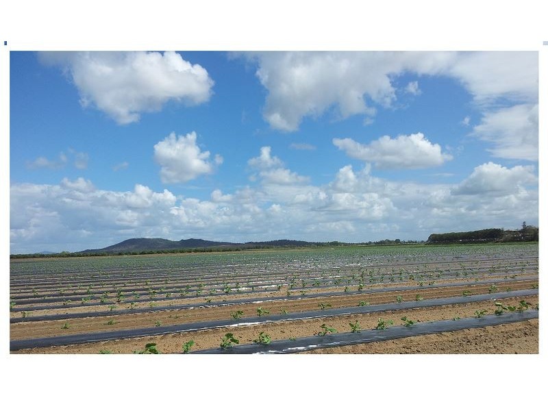 106 Mountain View Road, Ayr QLD 4807