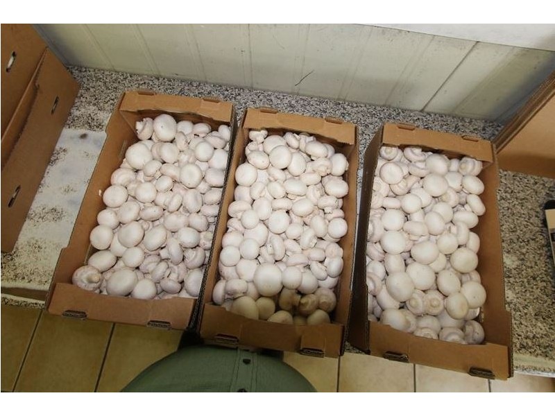 2 Brady Road, Oak Valley QLD 4811