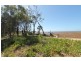 13 Whiting Court, Cungulla QLD 4816