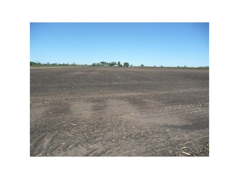 L107 Klondyke Road, Ayr QLD 4807